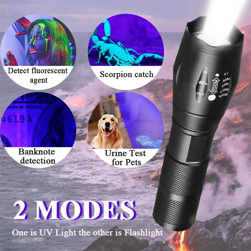 UV Flashlight: Dual Light 395nm Torch for Pet Stains and Detection