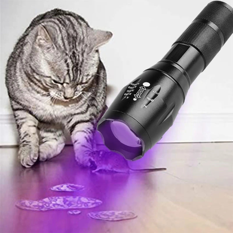 UV Flashlight: Dual Light 395nm Torch for Pet Stains and Detection