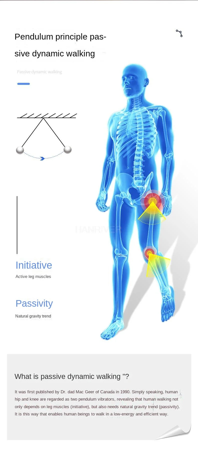 Bionic Walking Aid: Empowering Mobility for Stroke Recovery
