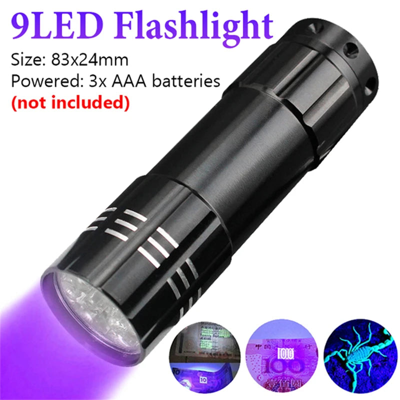 UV Flashlight: Dual Light 395nm Torch for Pet Stains and Detection