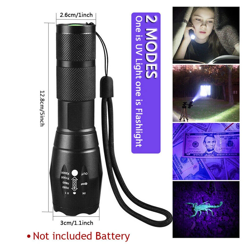 UV Flashlight: Dual Light 395nm Torch for Pet Stains and Detection
