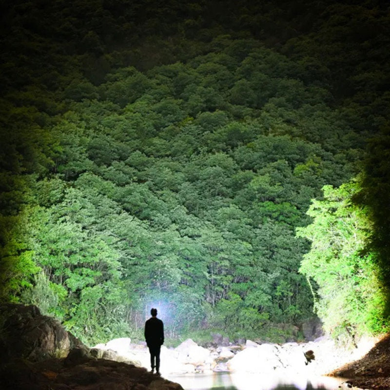 Potente linterna de 12 LED: luz de emergencia versátil para cualquier situación