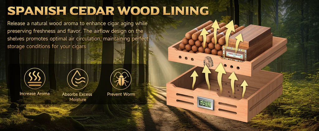 Elegant Desktop Humidor with Lighting: Ideal for Up to 100 Cigars